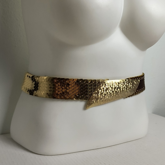 Statement Vintage Gold Metal Snake Belt Stretch main image 15